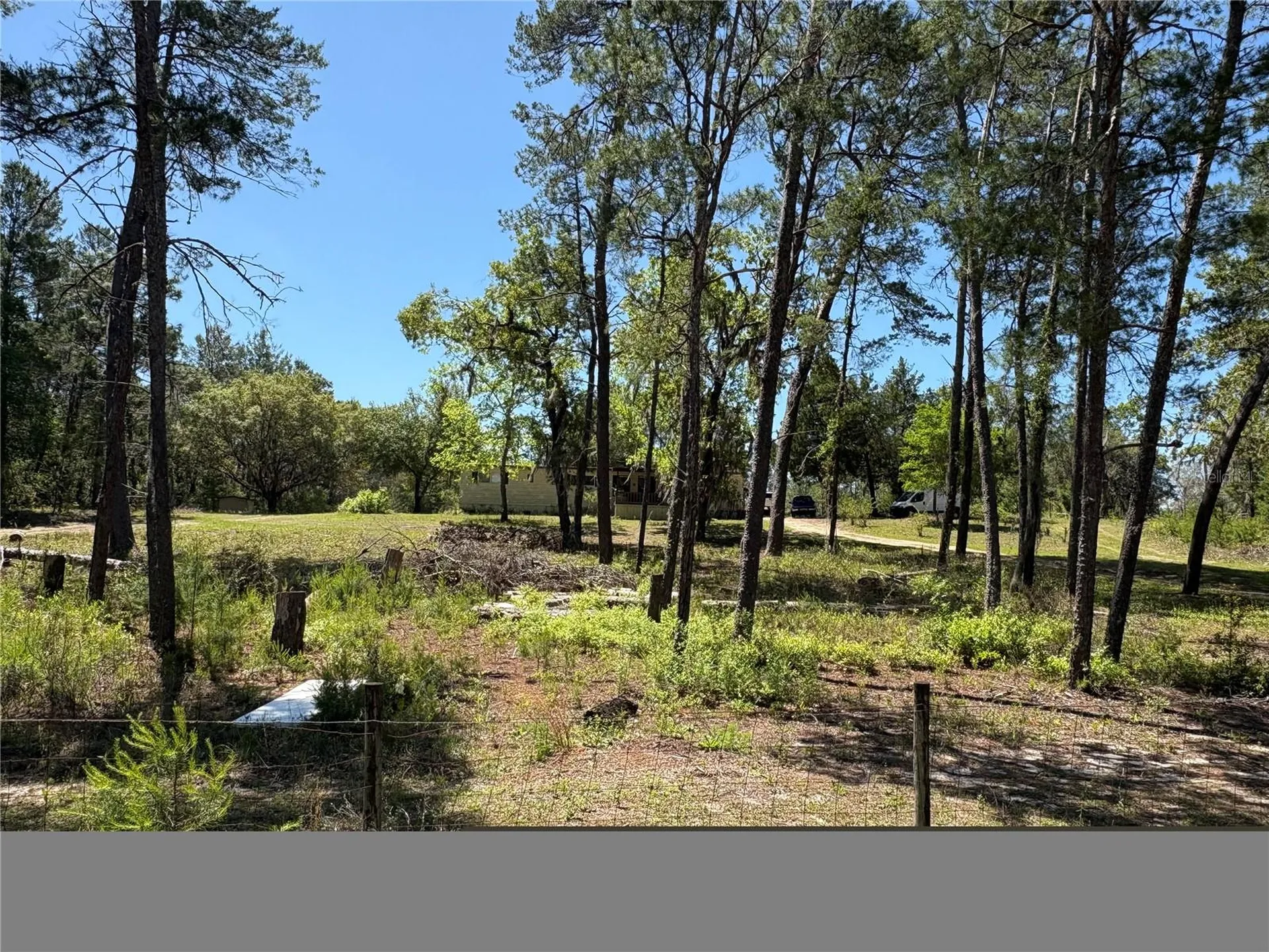 1882 Bellamy Road Florahome FL 32140