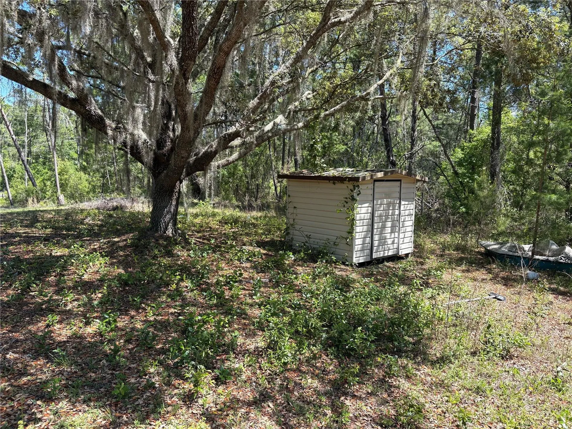 1882 Bellamy Road Florahome FL 32140