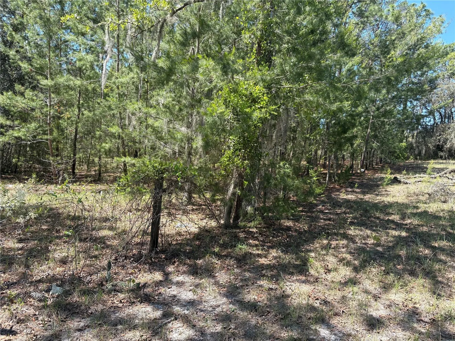 1882 Bellamy Road Florahome FL 32140