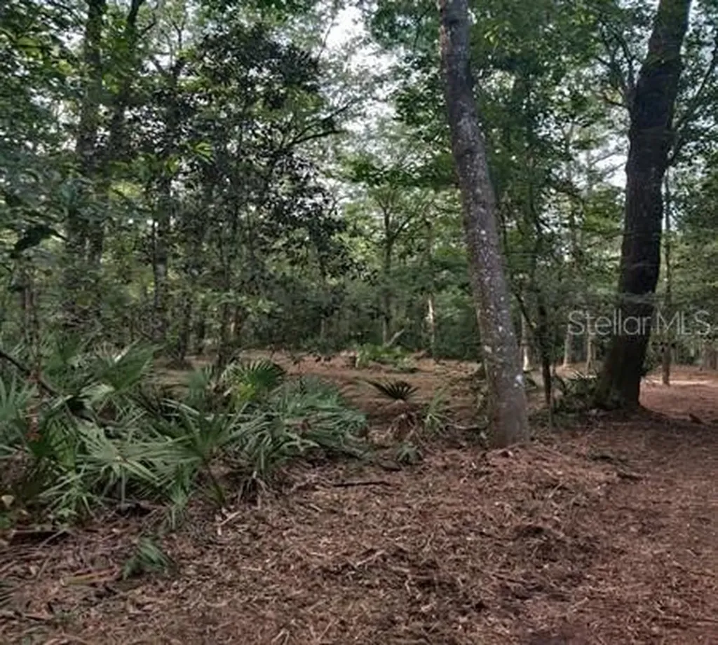 5212 NW 19th Street Gainesville FL 32653