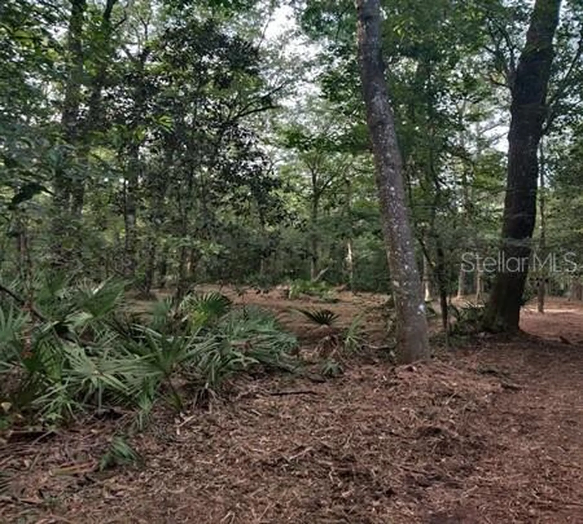 5212 NW 19th Street Gainesville FL 32653