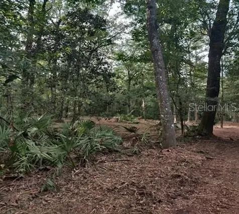 5212 NW 19th Street Gainesville FL 32653