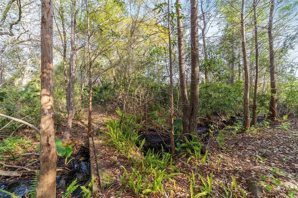 475 Fisher Road Ocklawaha FL 32179