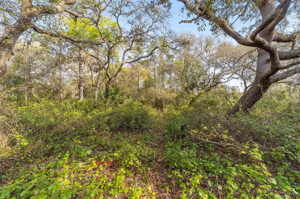 475 Fisher Road Ocklawaha FL 32179