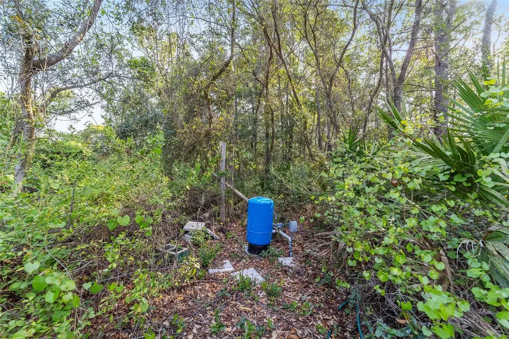 475 Fisher Road Ocklawaha FL 32179