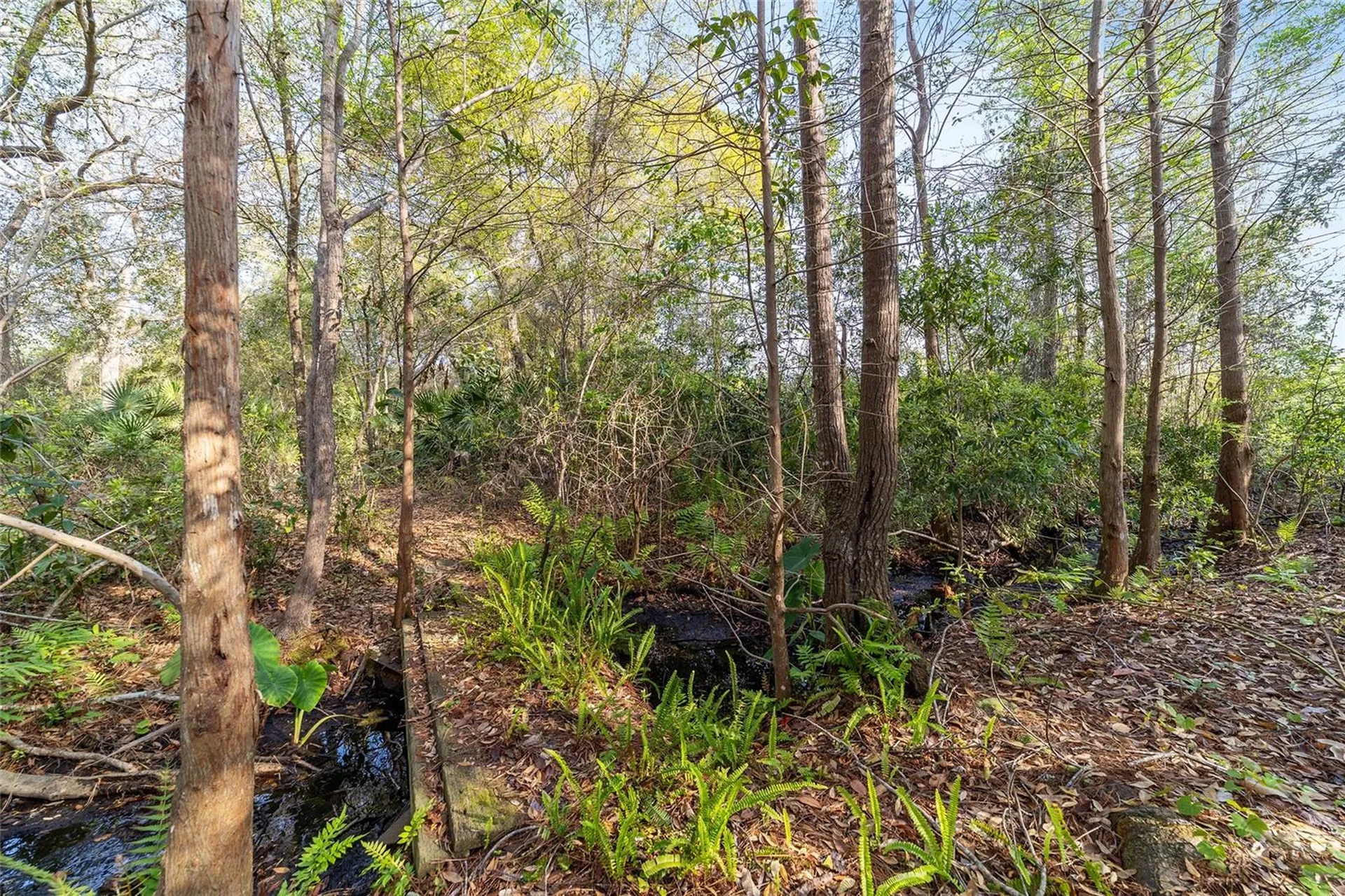 475 Fisher Road Ocklawaha FL 32179