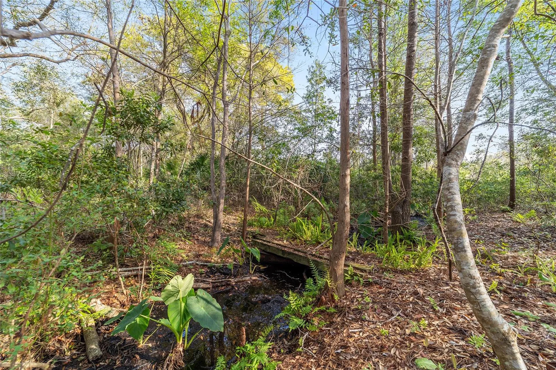 475 Fisher Road Ocklawaha FL 32179