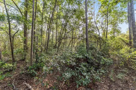 475 Fisher Road Ocklawaha FL 32179