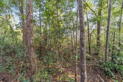 475 Fisher Road Ocklawaha FL 32179