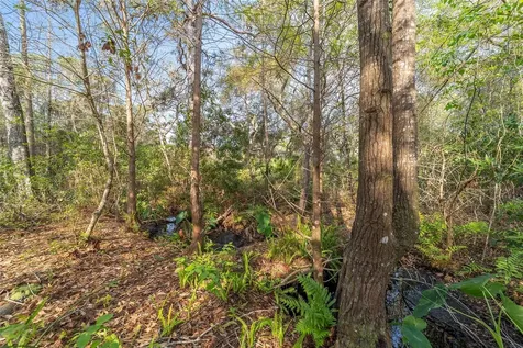 475 Fisher Road Ocklawaha FL 32179