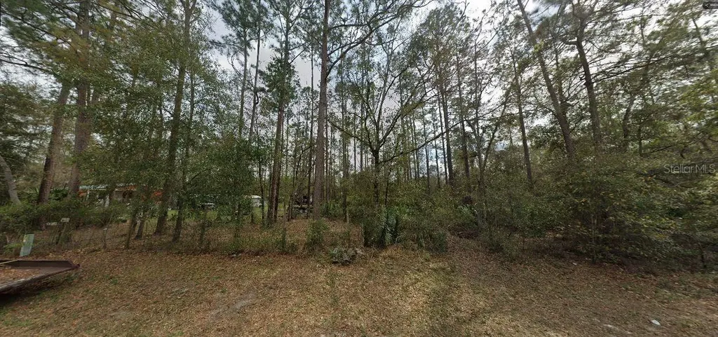 Riley Street Interlachen FL 32148