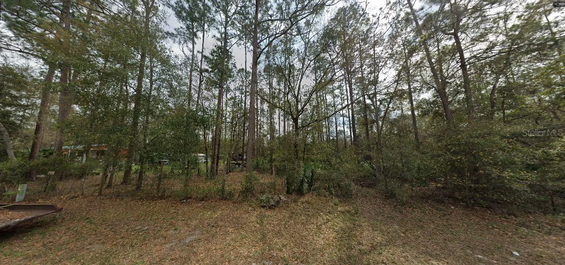 Riley Street Interlachen FL 32148
