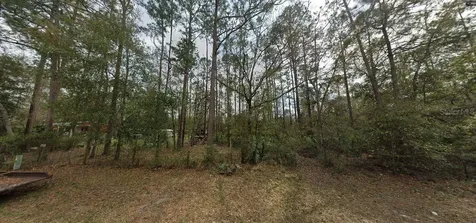 Riley Street Interlachen FL 32148