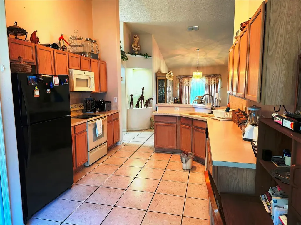 4613 Eaglet Lane Kissimmee FL 34746
