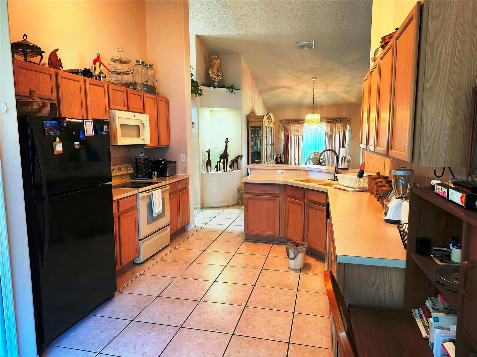 4613 Eaglet Lane Kissimmee FL 34746