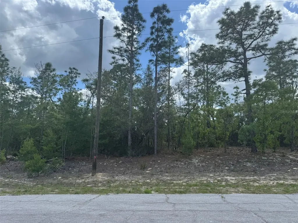 3000 W Liza Place Dunnellon FL 34433