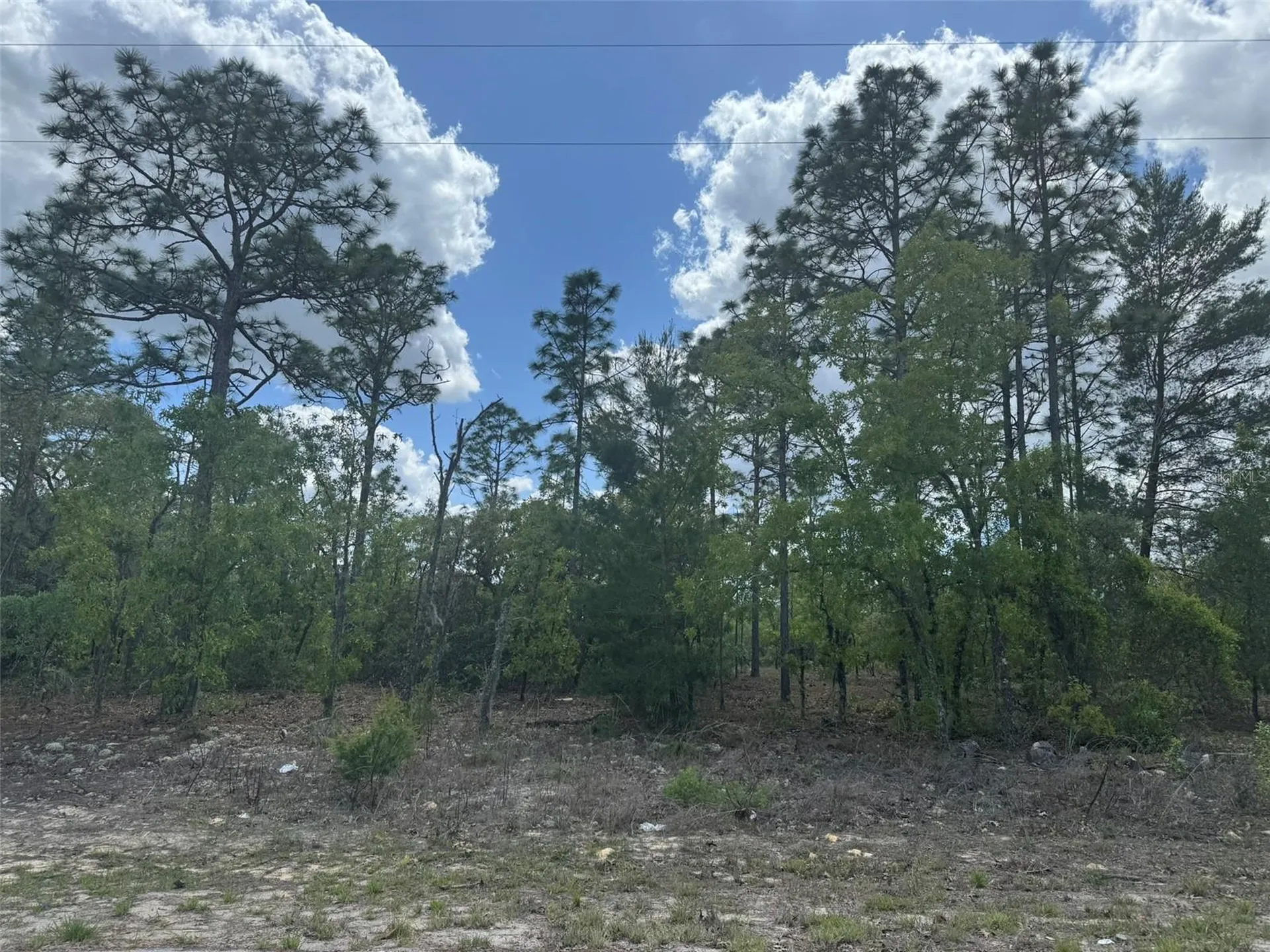 3000 W Liza Place Dunnellon FL 34433
