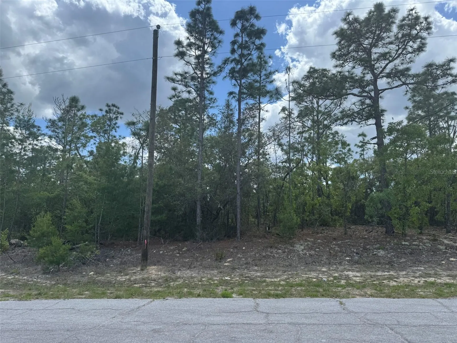 3000 W Liza Place Dunnellon FL 34433
