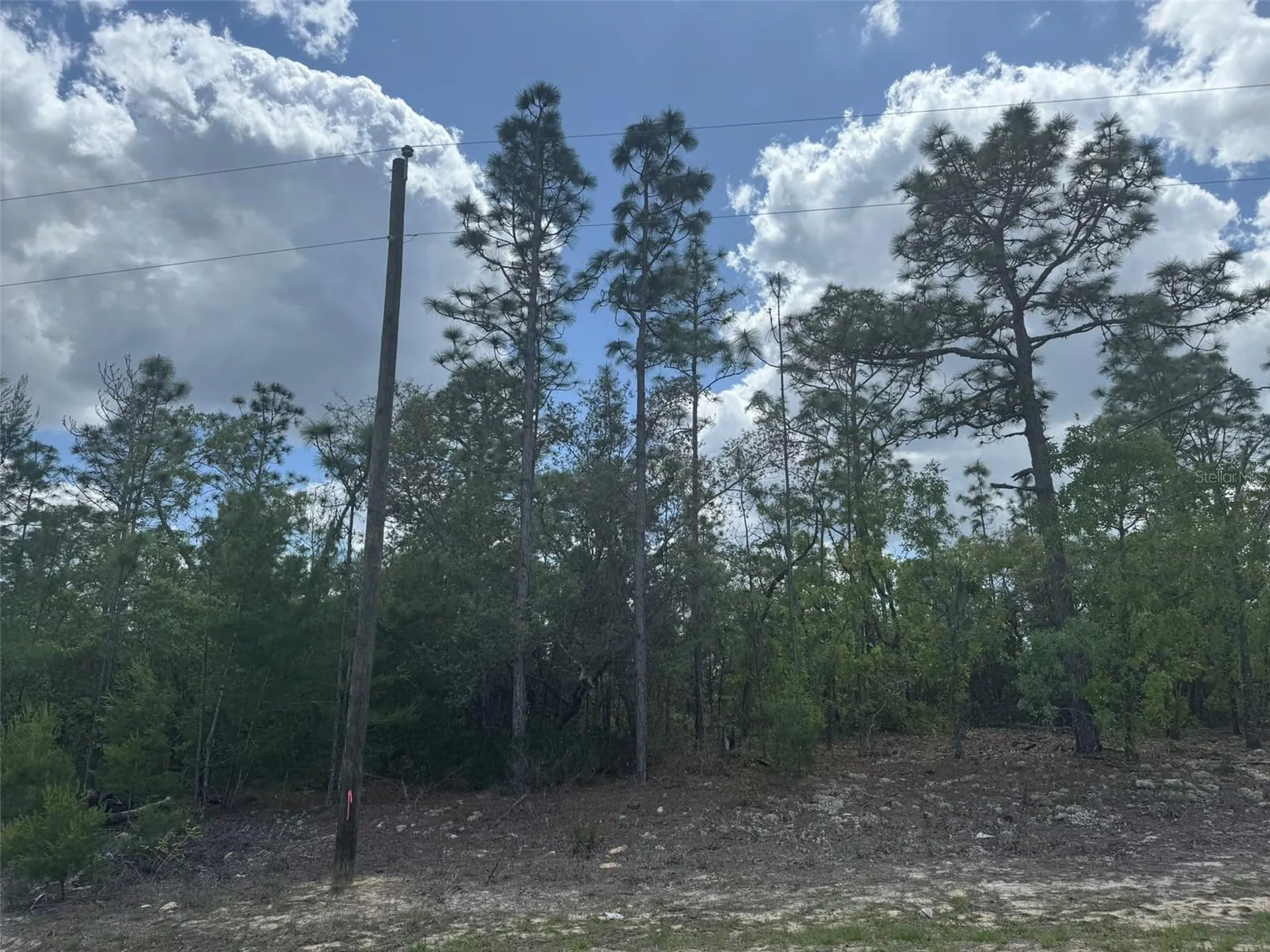 3000 W Liza Place Dunnellon FL 34433