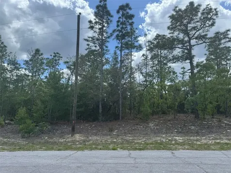 3000 W Liza Place Dunnellon FL 34433