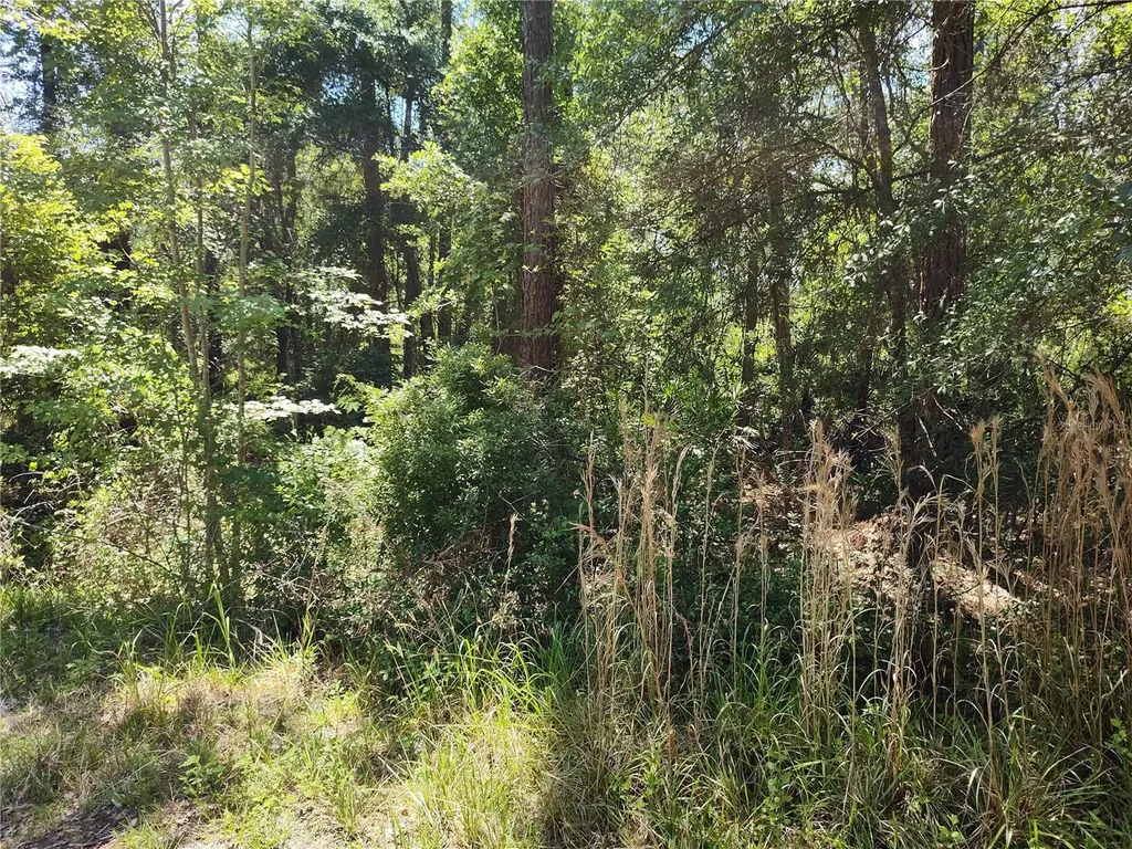0000 NE 66th Avenue Citra FL 32113