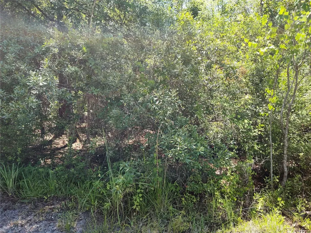 0000 NE 66th Avenue Citra FL 32113
