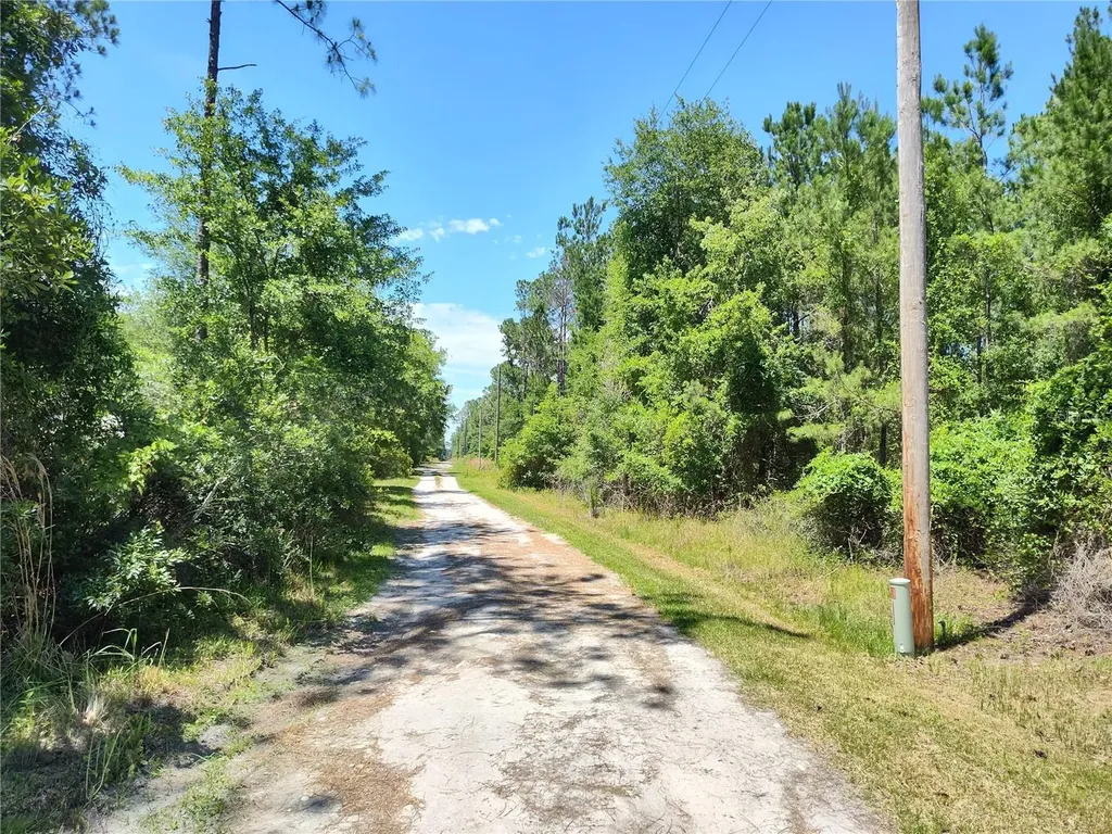 0000 NE 66th Avenue Citra FL 32113