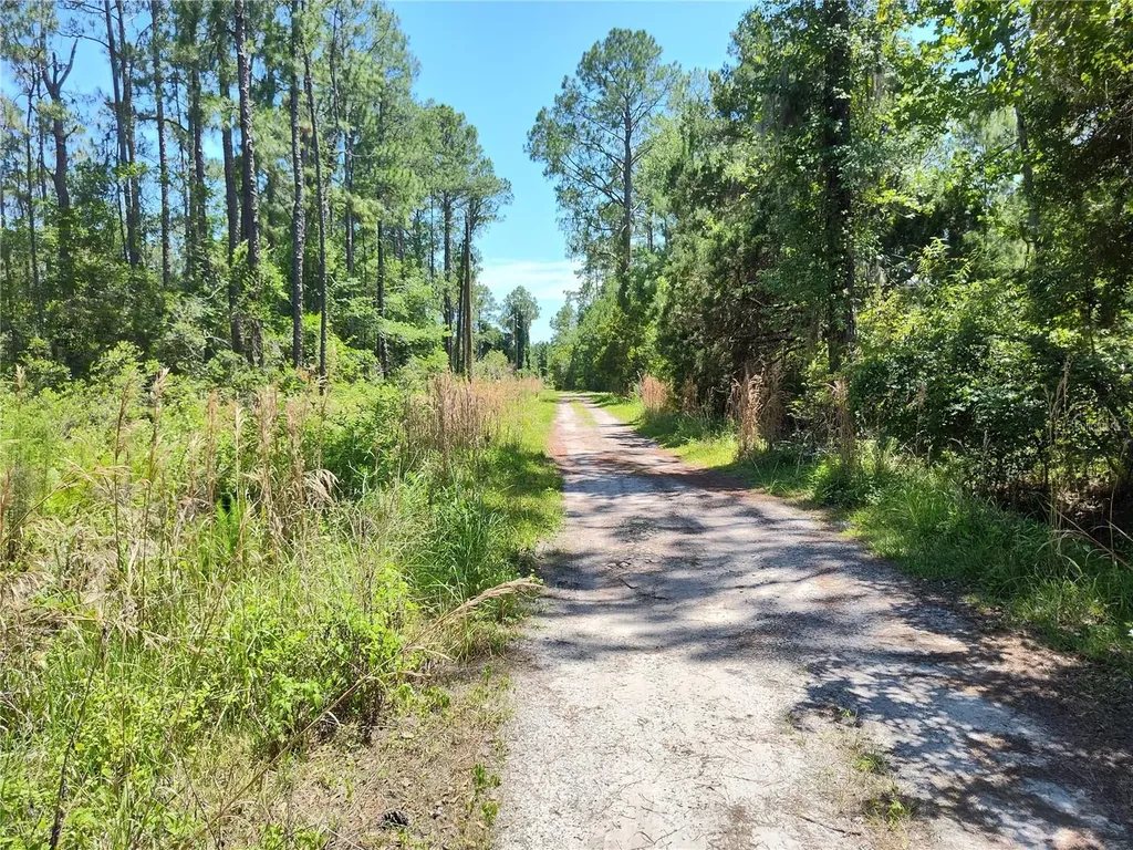 0000 NE 66th Avenue Citra FL 32113