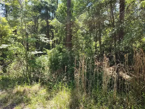 0000 NE 66th Avenue Citra FL 32113