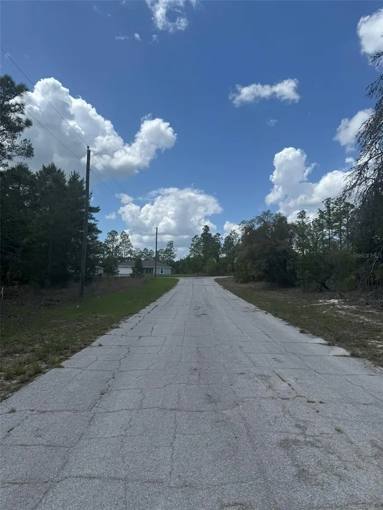 2984 W Liza Place Dunnellon FL 34433