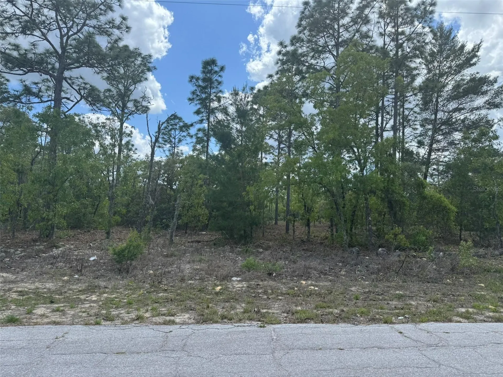 2984 W Liza Place Dunnellon FL 34433