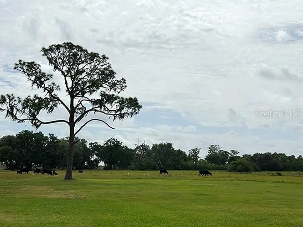 3650 Lake Tohopekaliga Road St Cloud FL 34772
