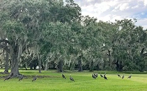 3650 Lake Tohopekaliga Road St Cloud FL 34772