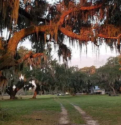 3650 Lake Tohopekaliga Road St Cloud FL 34772
