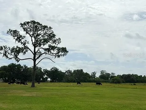 3650 Lake Tohopekaliga Road St Cloud FL 34772