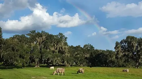 3650 Lake Tohopekaliga Road St Cloud FL 34772