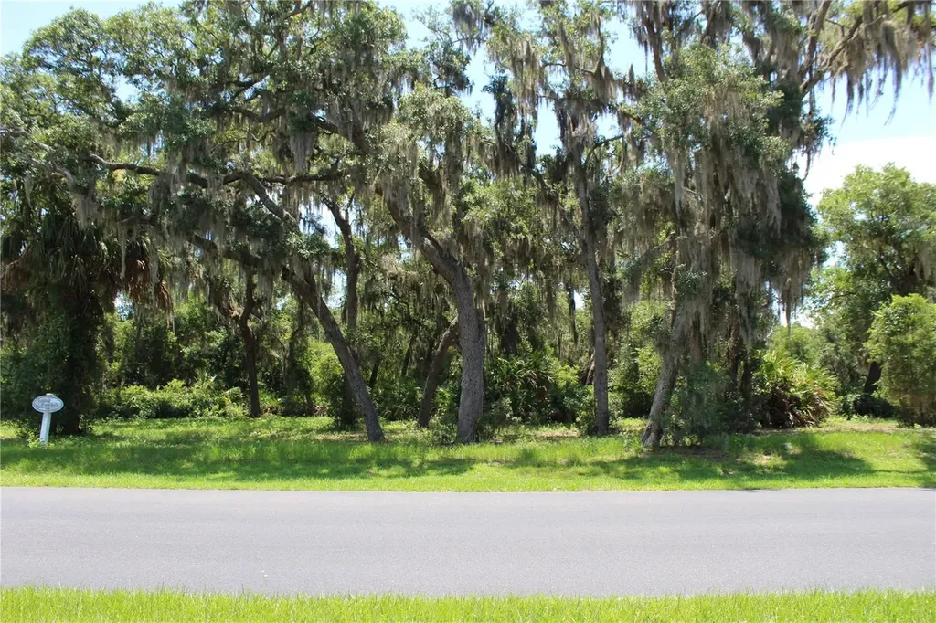 3117 Bright Lake Circle Groveland FL 34736