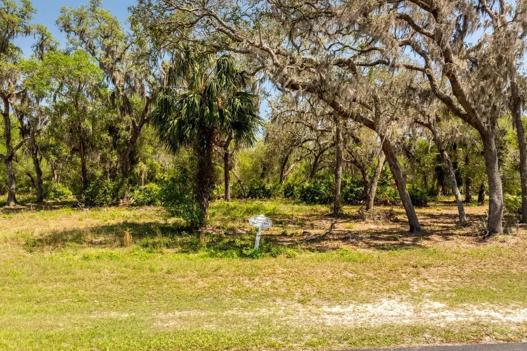 3117 Bright Lake Circle Groveland FL 34736
