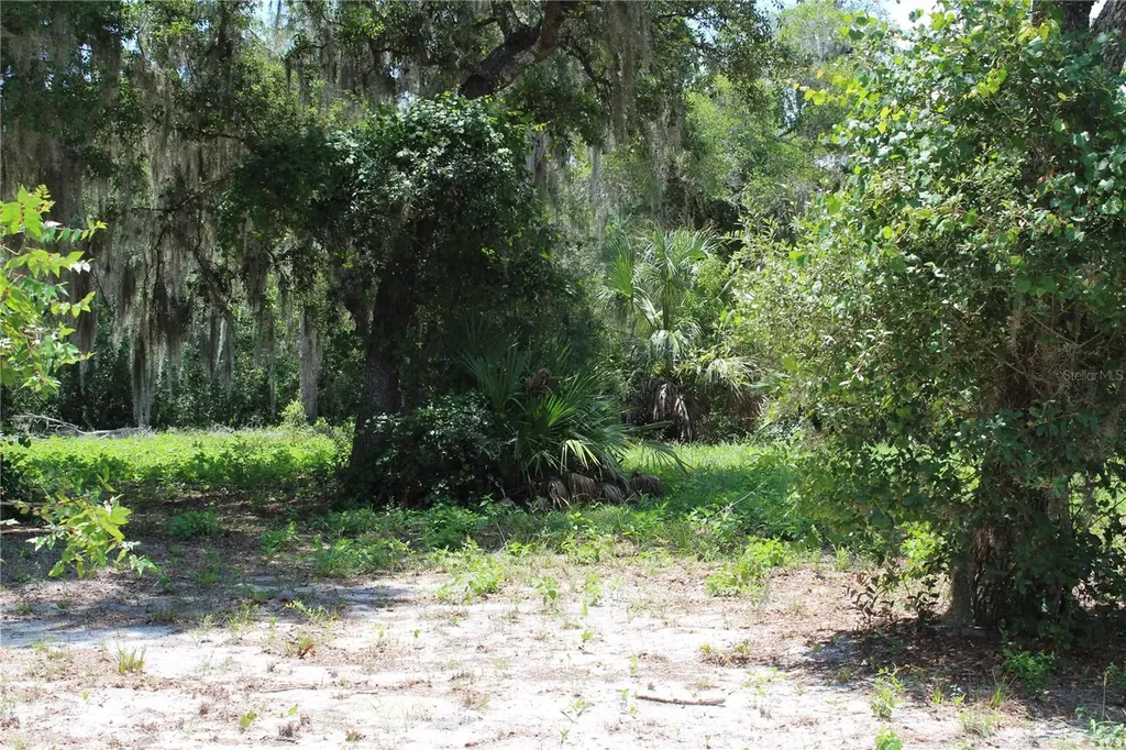 3117 Bright Lake Circle Groveland FL 34736