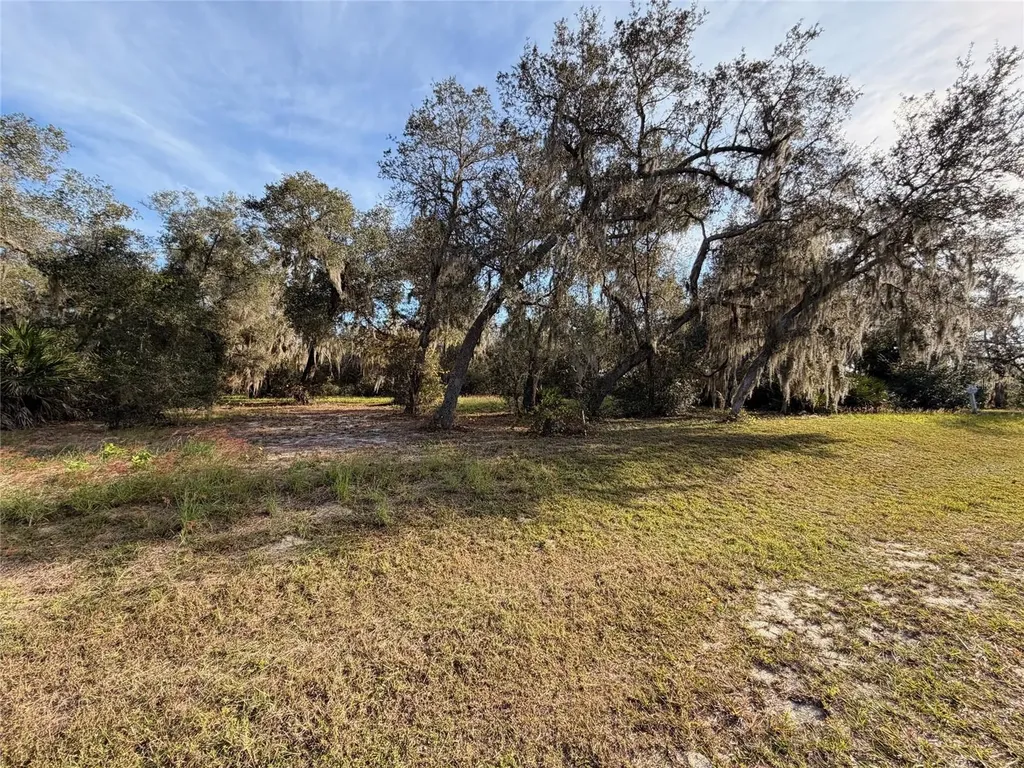 3117 Bright Lake Circle Groveland FL 34736