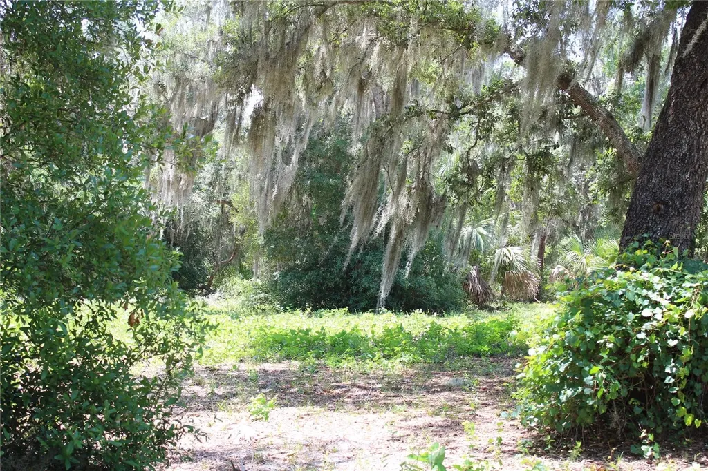 3117 Bright Lake Circle Groveland FL 34736