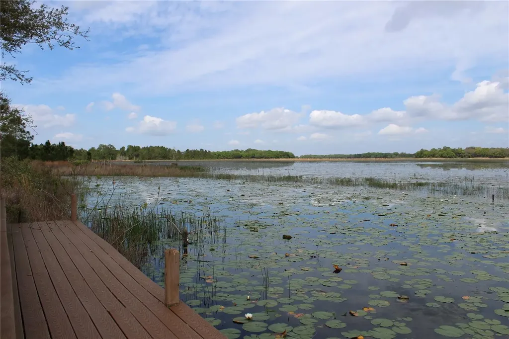 3117 Bright Lake Circle Groveland FL 34736