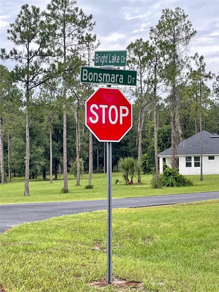 3117 Bright Lake Circle Groveland FL 34736