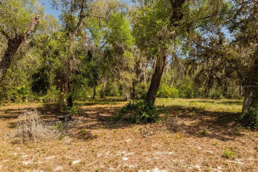 3117 Bright Lake Circle Groveland FL 34736