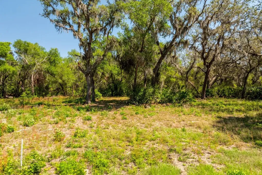 3117 Bright Lake Circle Groveland FL 34736