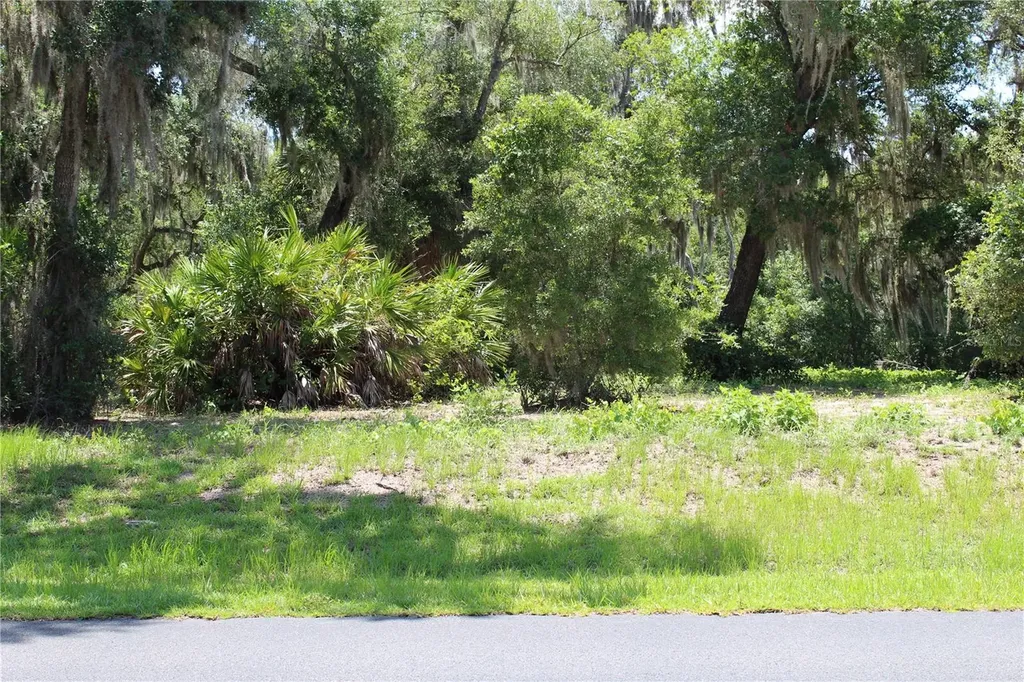 3117 Bright Lake Circle Groveland FL 34736
