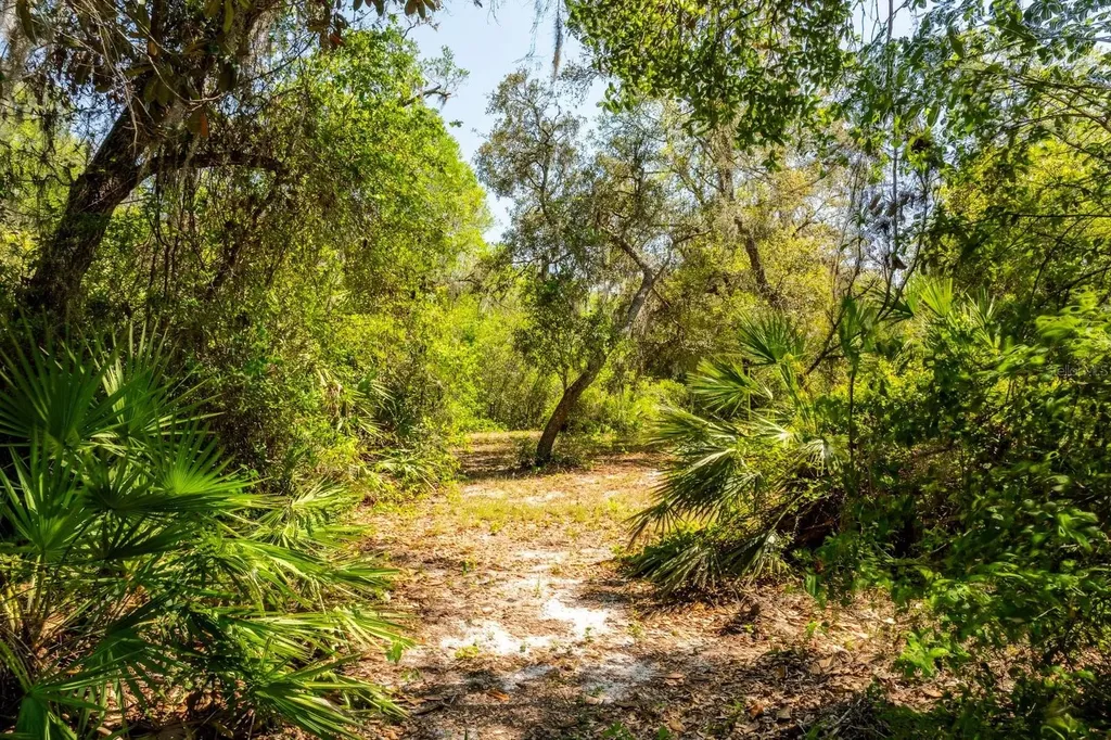 3117 Bright Lake Circle Groveland FL 34736