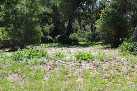 3117 Bright Lake Circle Groveland FL 34736