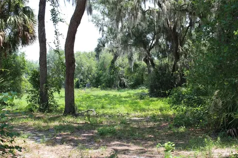 3117 Bright Lake Circle Groveland FL 34736