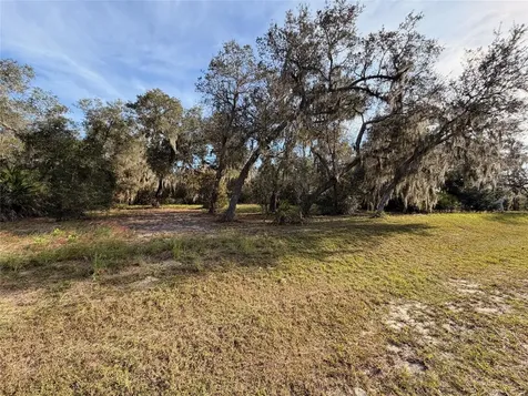 3117 Bright Lake Circle Groveland FL 34736